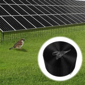 Bird Guard
